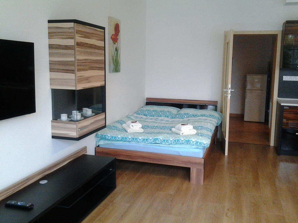 Apartman Residence Nabrezi Бероун Номер фото